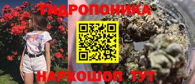 2c-b Пугачёв